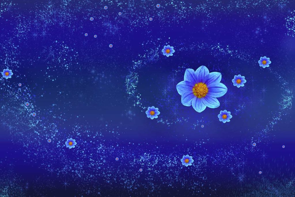 Fleurs de Cosmos intégrées dans le cosmos spatial